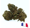 PINEAPPLE MEDIUM BUDS - ESSENTIELLE ⭐