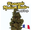 PINEAPPLE MEDIUM BUDS - ESSENTIELLE ⭐