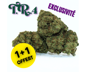 ⚡T.R.4 - 1+1 OFFERT⚡