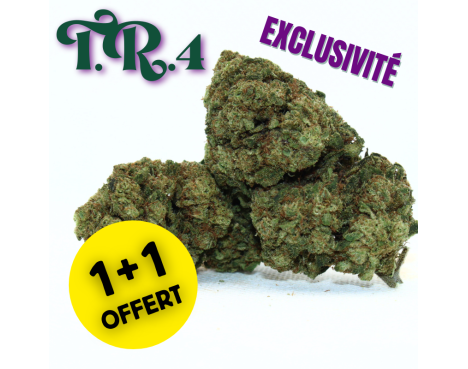 ⚡T.R.4 - 1+1 OFFERT⚡
