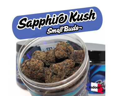 SAPPHIRE KUSH INDOOR - MINI DIVINE💎
