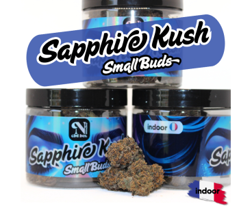 SAPPHIRE KUSH INDOOR - MINI DIVINE💎