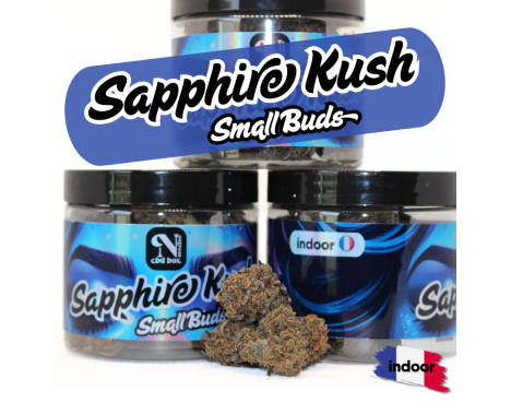 SAPPHIRE KUSH INDOOR - MINI DIVINE💎