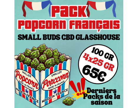 PACK POPCORN 100 GRAMMES ⭐ - DERNIERS PACKS DE LA SAISON DISPO