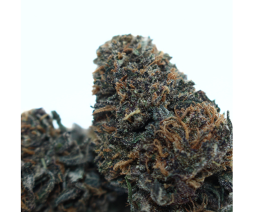 SAPPHIRE KUSH - [L'HERBE EN PROVENCE] DIVINE 💎