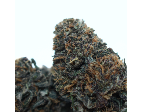 SAPPHIRE KUSH - [L'HERBE EN PROVENCE] DIVINE 💎