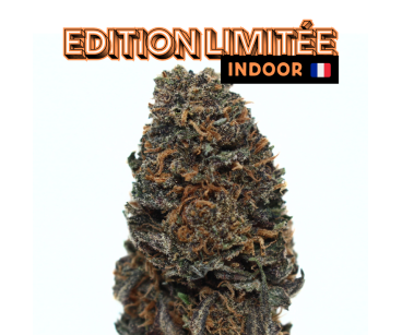 SAPPHIRE KUSH - [L'HERBE EN PROVENCE] DIVINE 💎