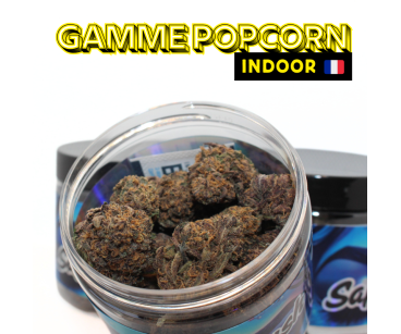 SAPPHIRE KUSH INDOOR - MINI DIVINE💎