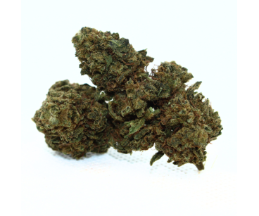 PINEAPPLE MEDIUM BUDS - ESSENTIELLE ⭐