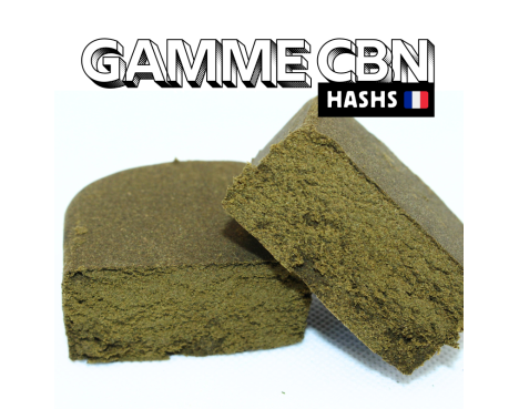 CHEESE CREAM CBN 🧀