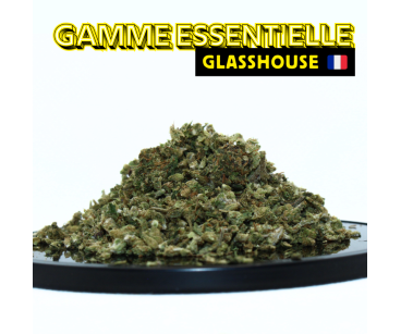 LE NEO MIX' 2024 ⭐