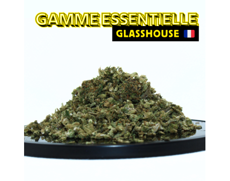 LE NEO MIX' 2024 ⭐