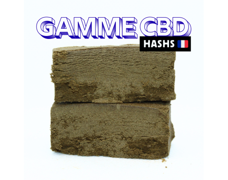 GOLDEN MOUSSEUX 🪙