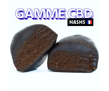 AMNESIA HASH 😶‍🌫️