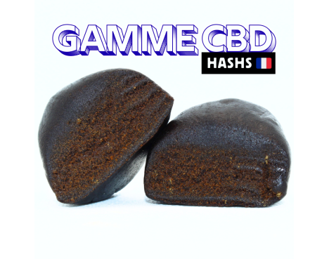 AMNESIA HASH 😶‍🌫️