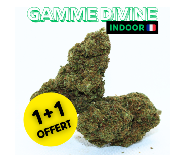 ⚡WEDDING CAKE - 1+1 OFFERT⚡