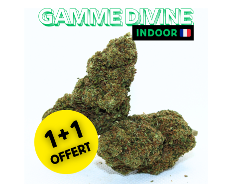 ⚡WEDDING CAKE - 1+1 OFFERT⚡