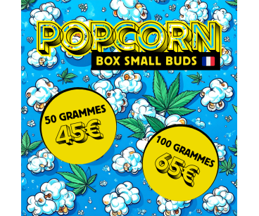 POPCORN - BOX SMALL BUDS