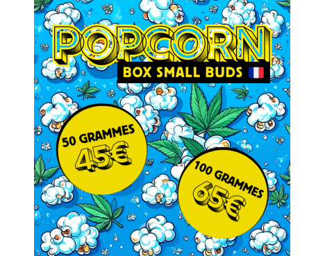 POPCORN - BOX SMALL BUDS