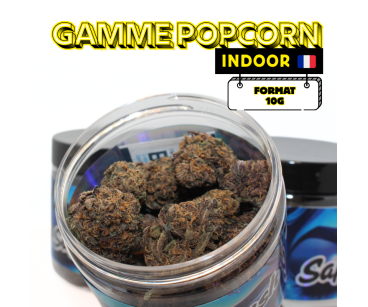 1+1 OFFERT SAPPHIRE KUSH INDOOR - MINI DIVINE💎