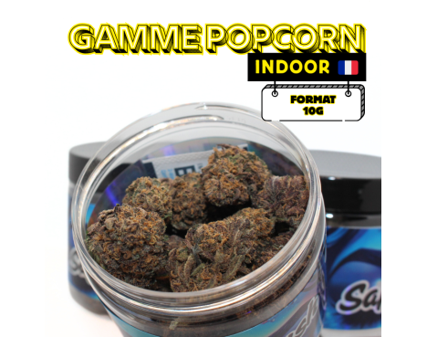 1+1 OFFERT SAPPHIRE KUSH INDOOR - MINI DIVINE💎
