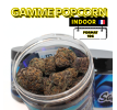 1+1 OFFERT SAPPHIRE KUSH INDOOR - MINI DIVINE💎