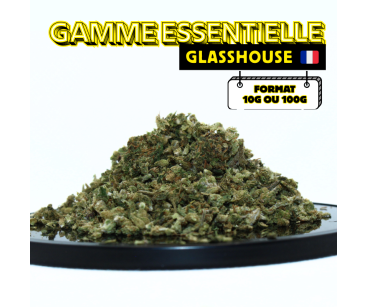 LE NEO MIX' 2024 ⭐