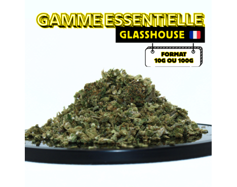 LE NEO MIX' 2024 ⭐