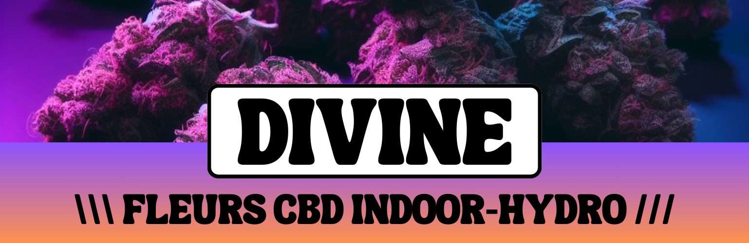 LA GAMME DIVINE 💎 LES FLEURS CBD PREMIUM CHEZ NEOGREEN CBD BOX