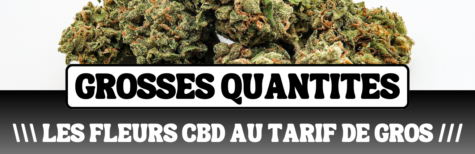 FLEURS CBD AU TARIF GROSSISTE POUR TOUS !